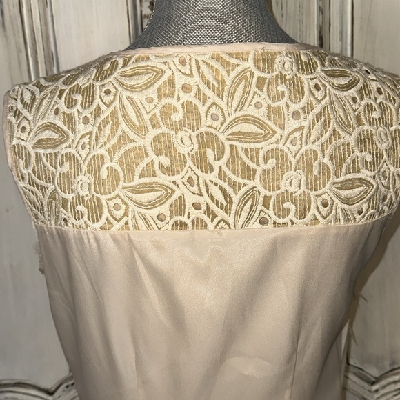 Champagne & Strawberry Sleeveless V Neck 3D Blush and Lace Statement Dress S/8P - Picture 9 of 14